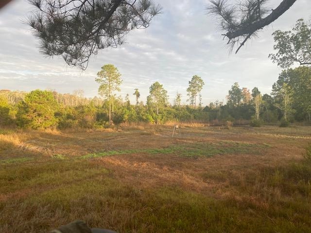 3101 Southwest Hike Lake Road Madison, FL 32340 - Photo 6 of 39 Gallery Image 6
