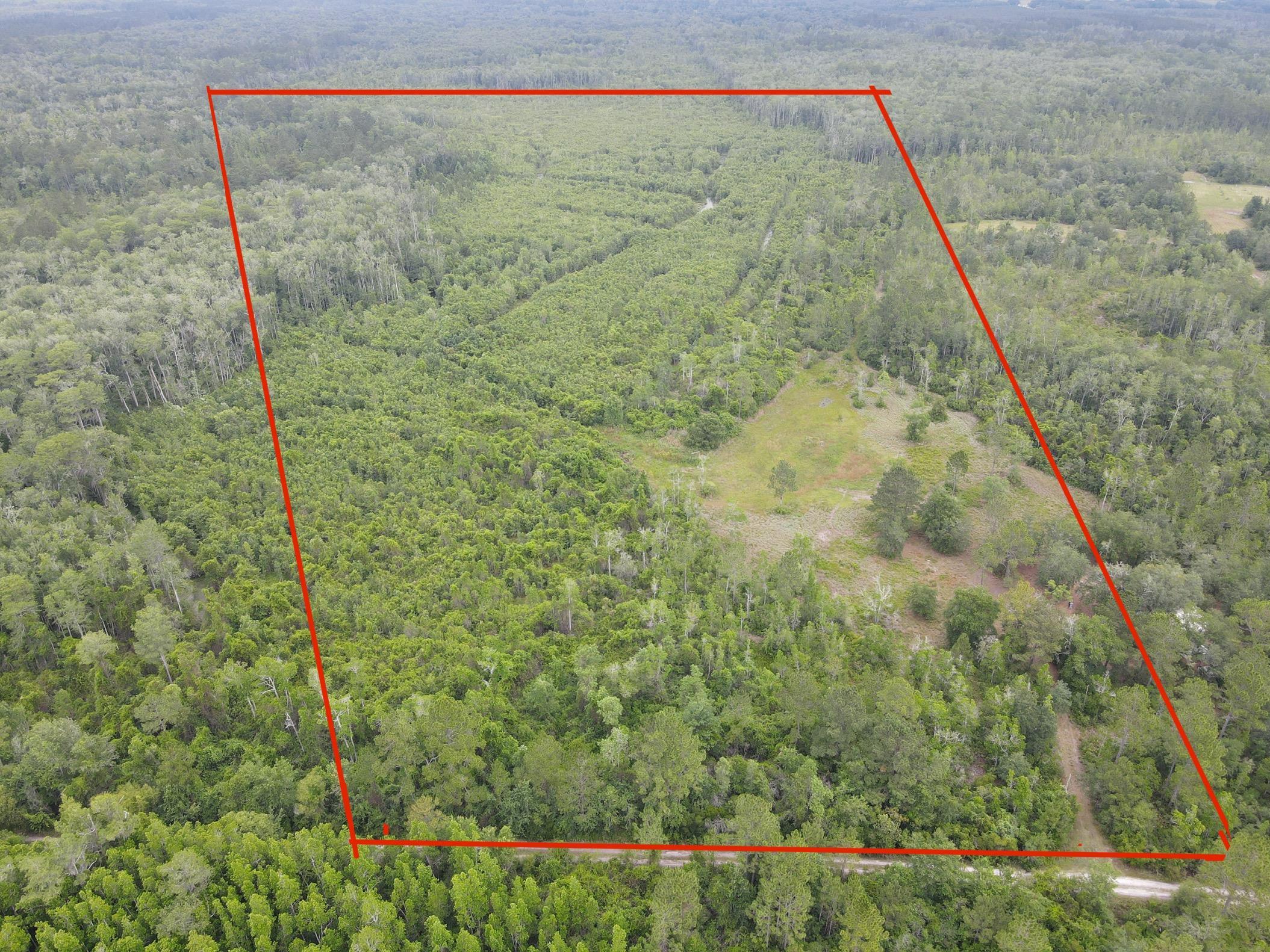 3101 Southwest Hike Lake Road Madison, FL 32340 - Photo 10 of 39 Gallery Image 10