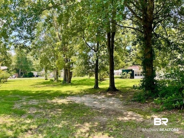 0 West Carolyn Avenue Foley, AL 36535 - Photo 4 of 18