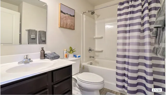 a bathroom with a sink toilet a shower and a mirror