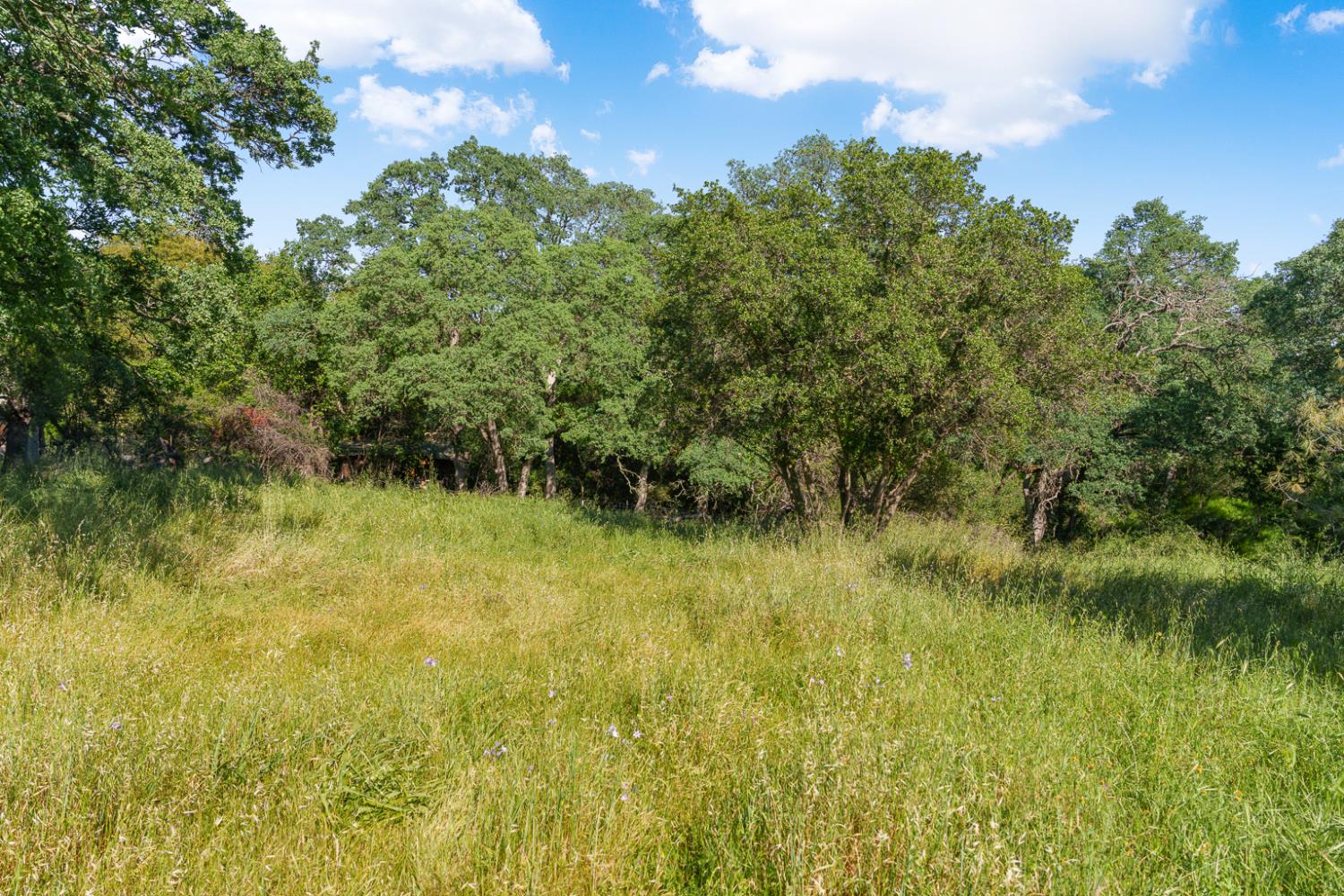 0 Vance Lane Folsom, CA 95630 - Photo 19 of 68