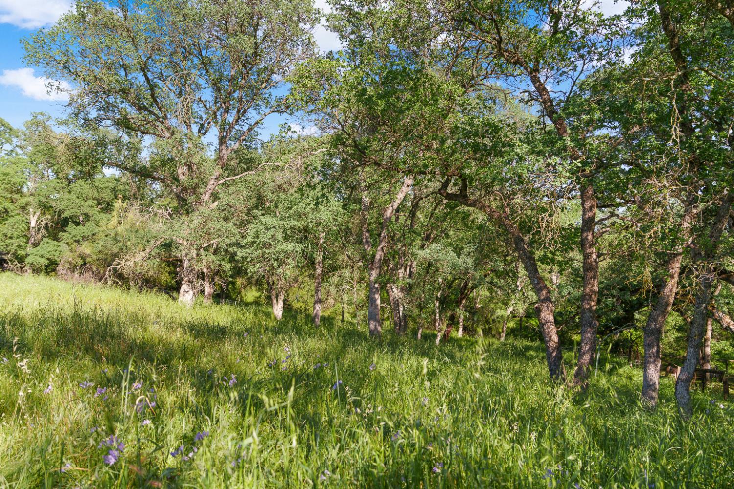 0 Vance Lane Folsom, CA 95630 - Photo 21 of 68