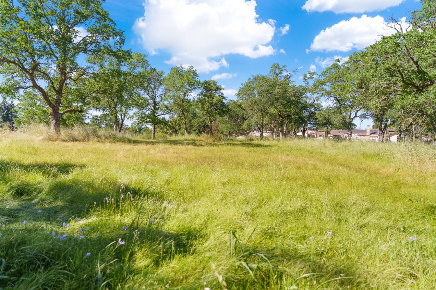 0 Vance Lane Folsom, CA 95630 - Photo 23 of 68 a view of an ocean from a yard
