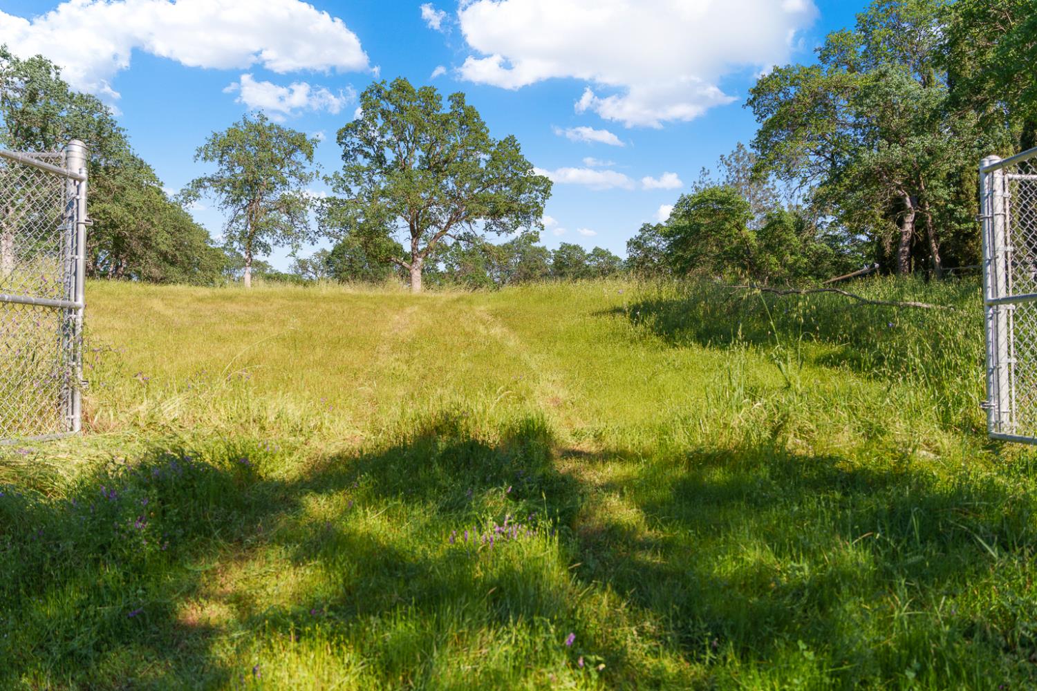 0 Vance Lane Folsom, CA 95630 - Photo 28 of 68 a view of an ocean and a yard
