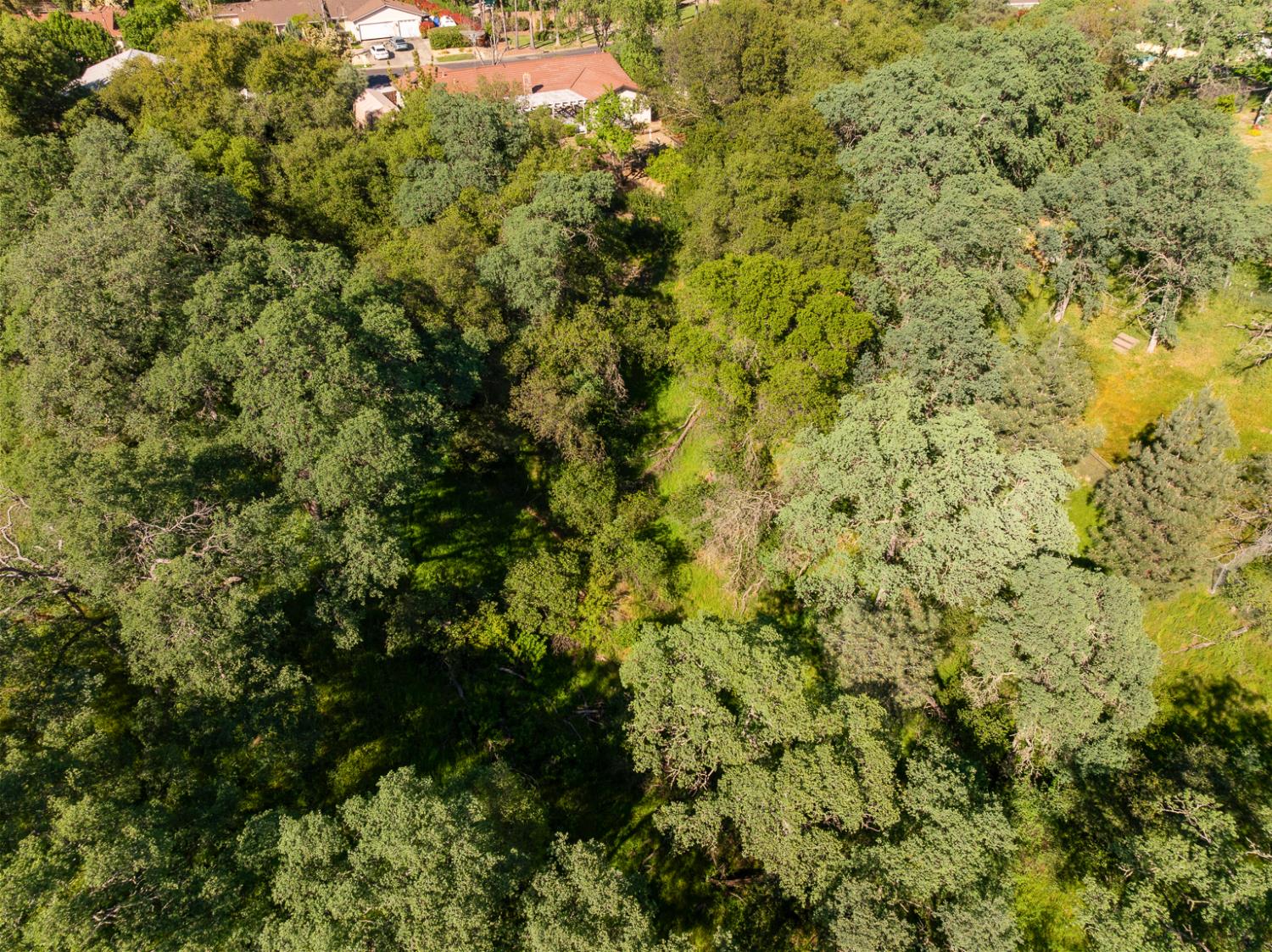 0 Vance Lane Folsom, CA 95630 - Photo 47 of 68