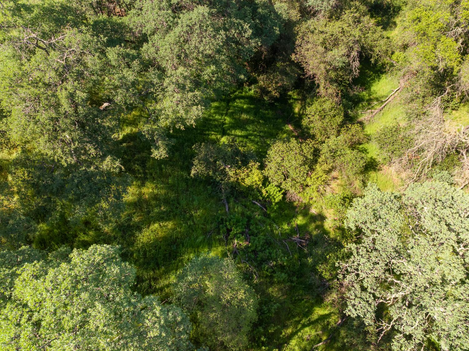 0 Vance Lane Folsom, CA 95630 - Photo 48 of 68