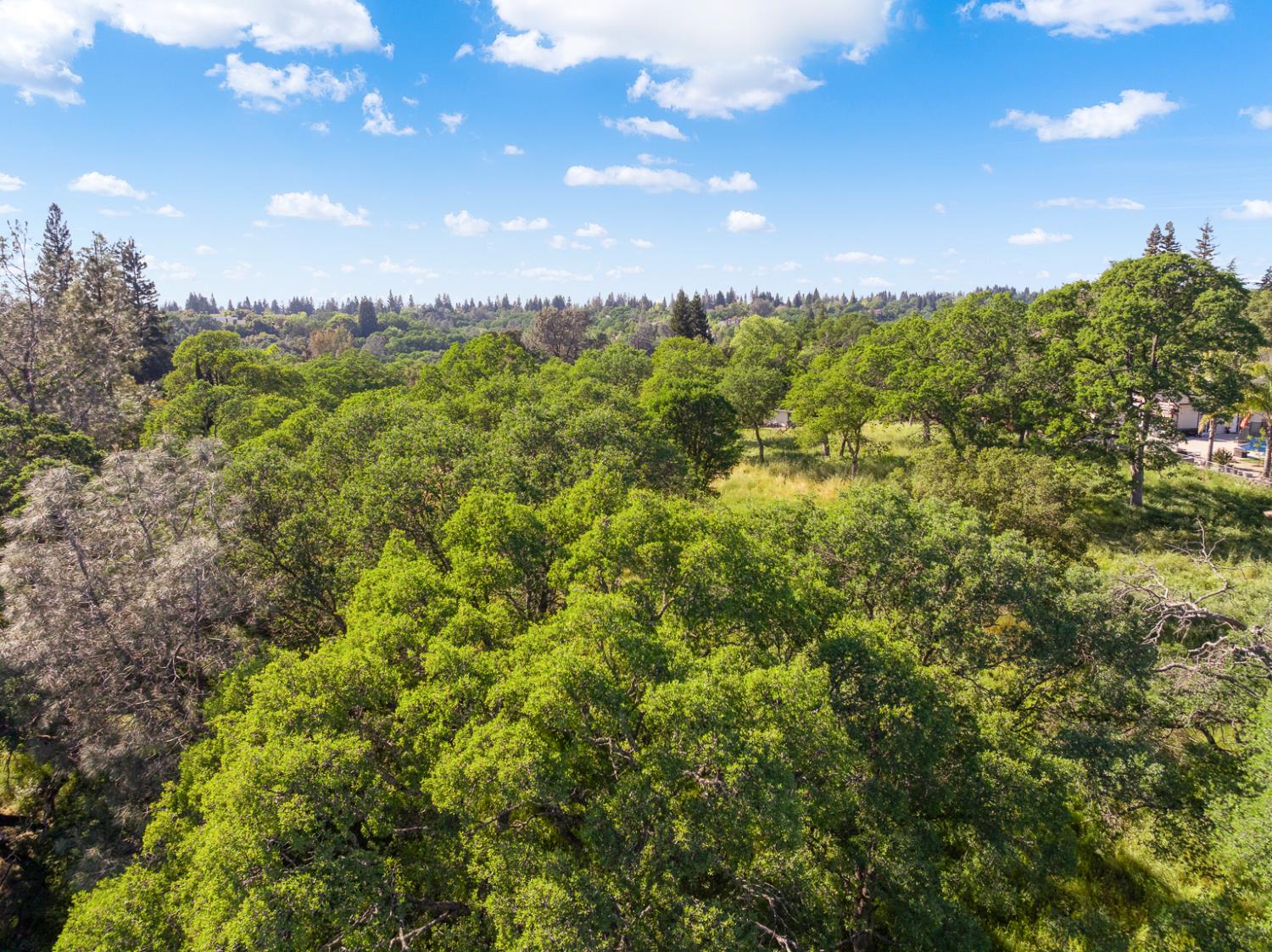 0 Vance Lane Folsom, CA 95630 - Photo 49 of 68
