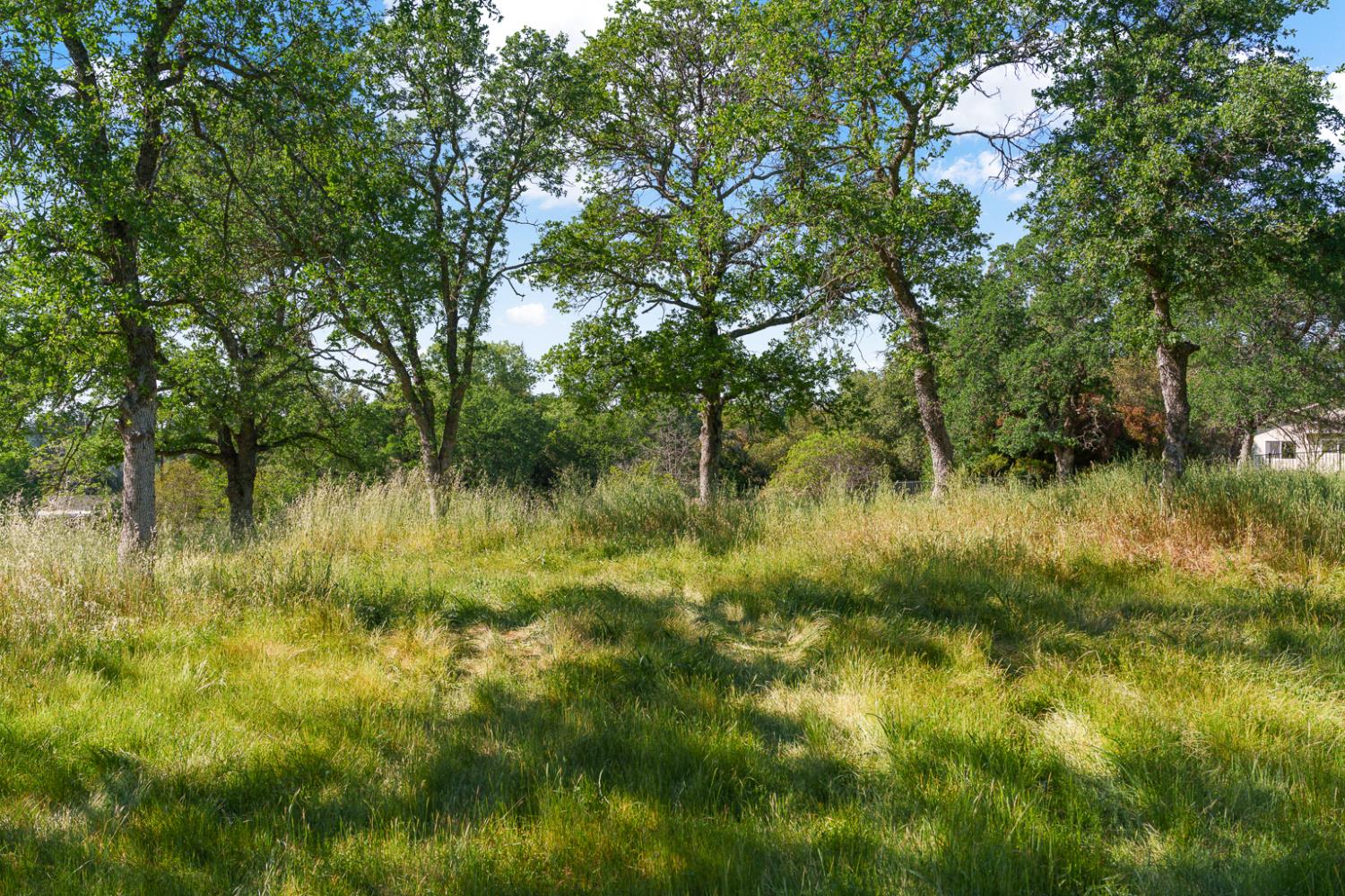 0 Vance Lane Folsom, CA 95630 - Photo 10 of 68 a view of a lake with a green space