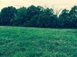 14315 Stamping Ground Road Stamping Ground, KY 40379 - Photo 12 of 15 Photo 12