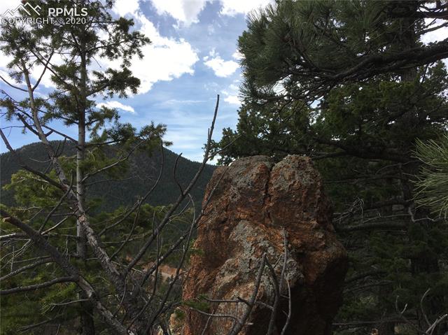351 Day Spring View Manitou Springs, CO 80829 - Photo 11 of 19