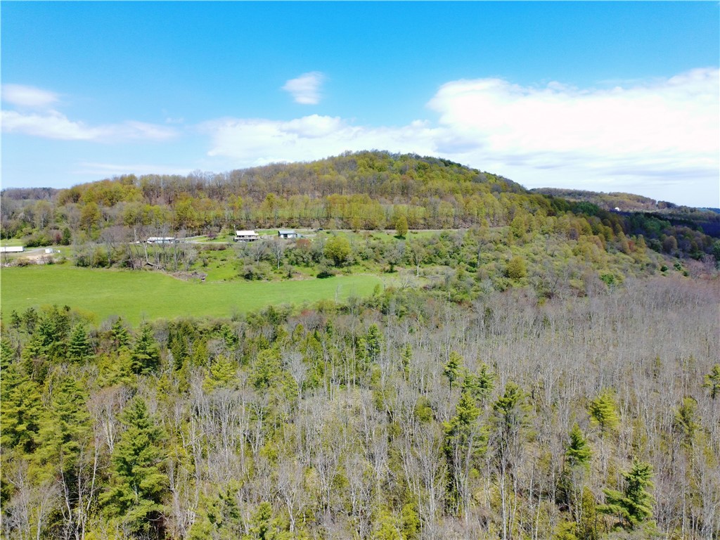 3010 Kelly Road Brookfield, NY 13355 - Photo 15 of 45