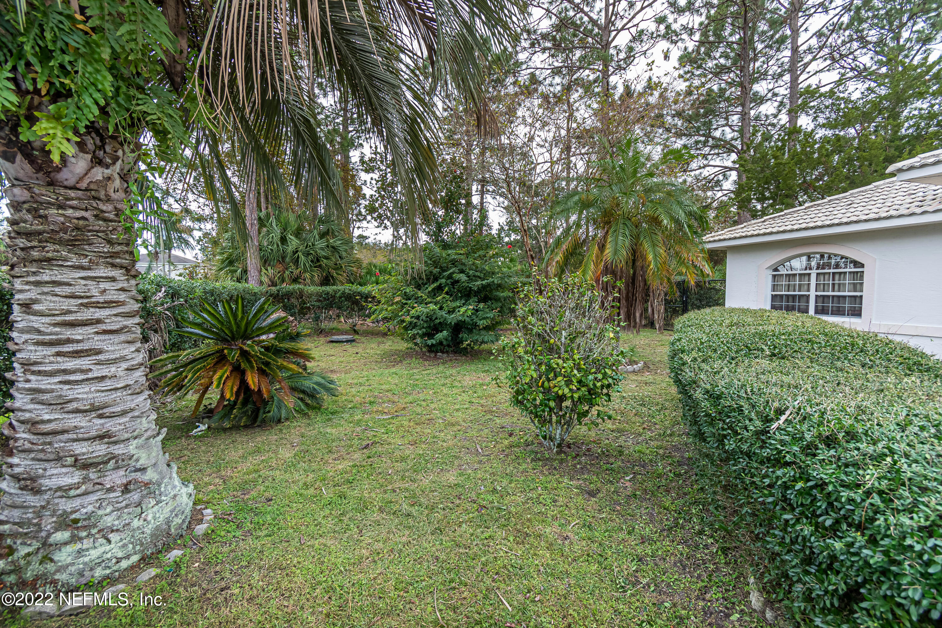 74 Raintree Place Palm Coast, FL 32164 - Photo 8 of 51 frontyard4