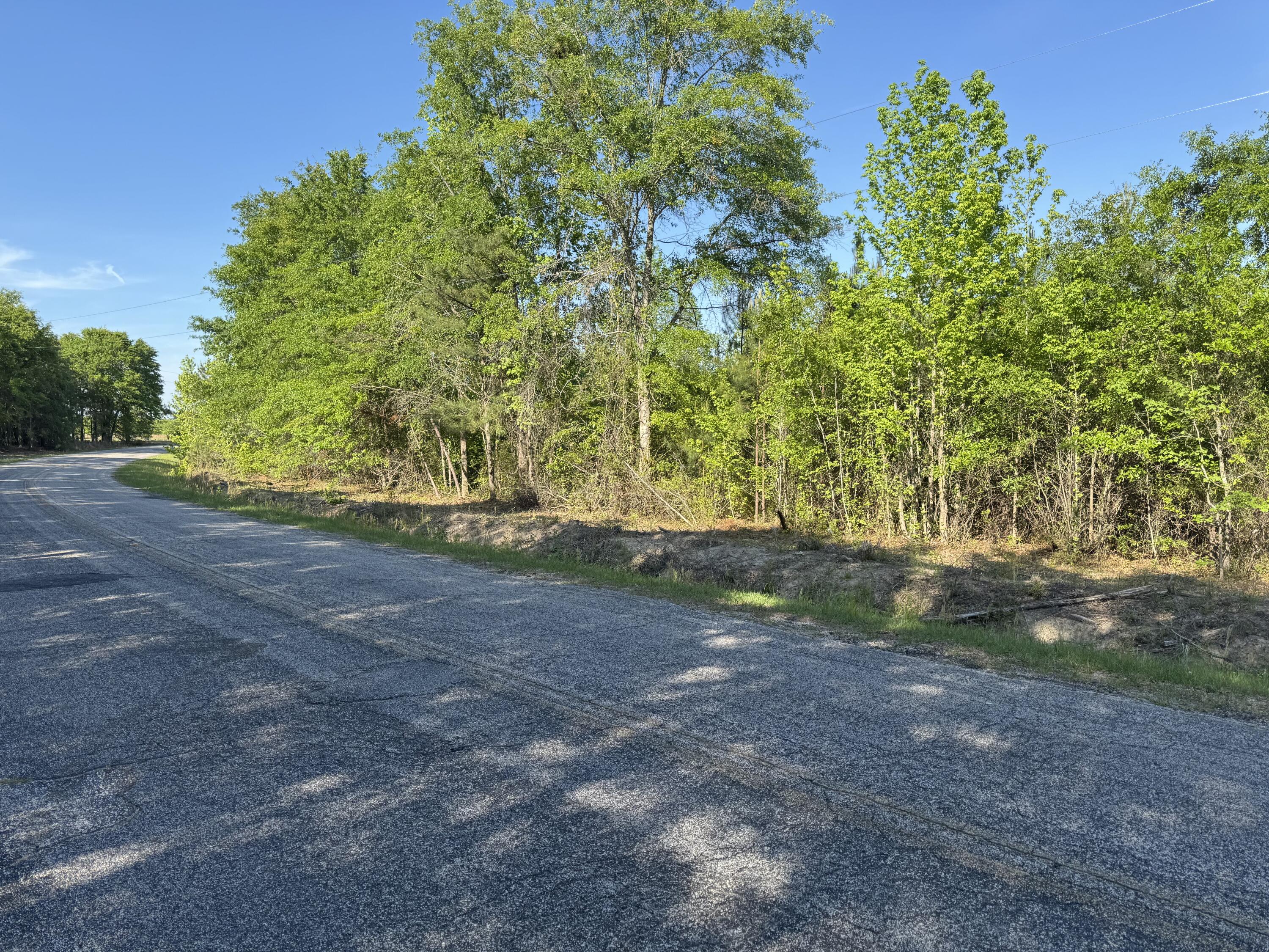 0 Huggins Road Rembert, SC 29128 - Photo 3 of 13 Gallery Image 3