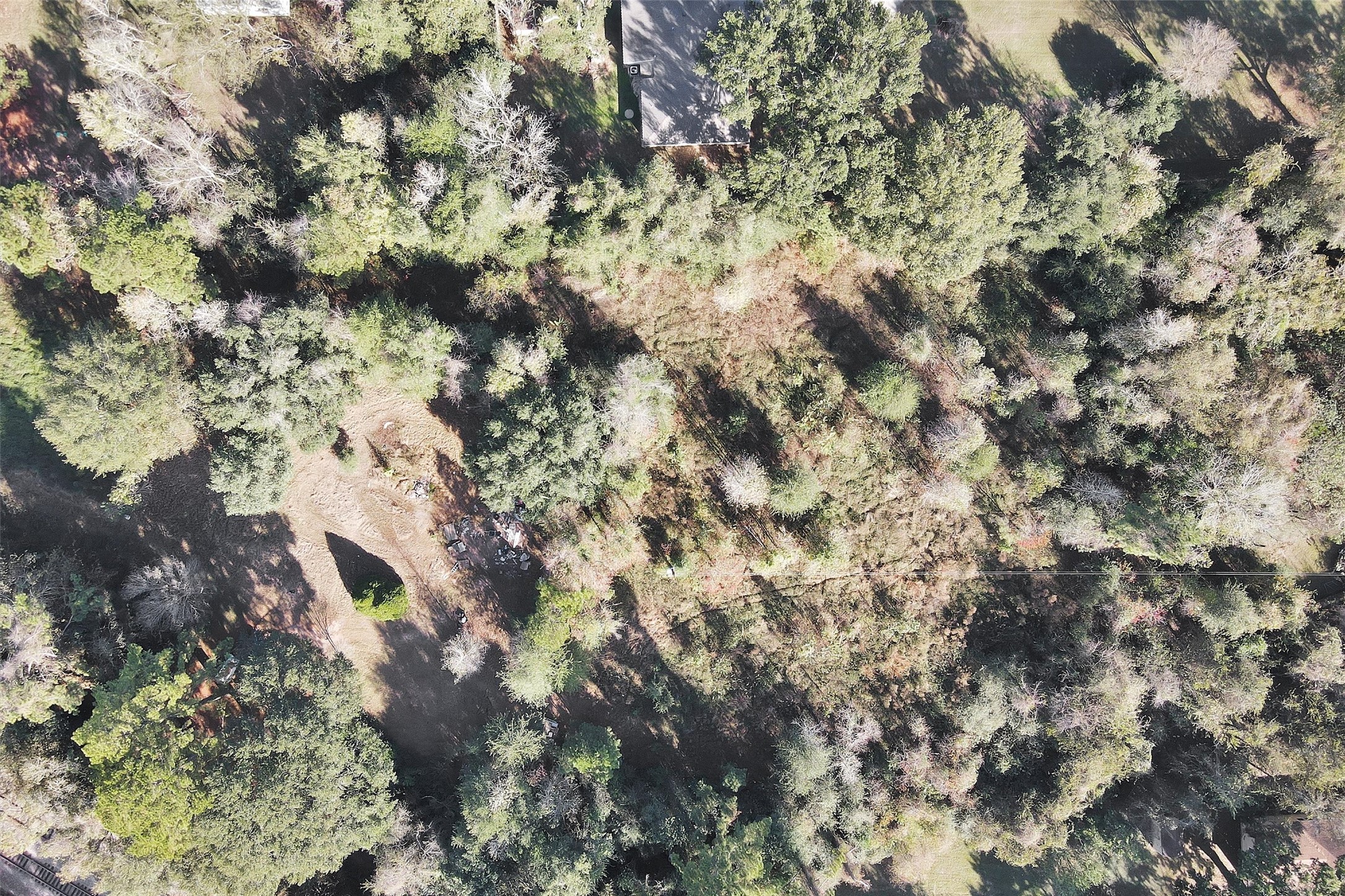 24801 Stanolind Road Tomball, TX 77375 - Photo 15 of 17 a view of a tree in a forest