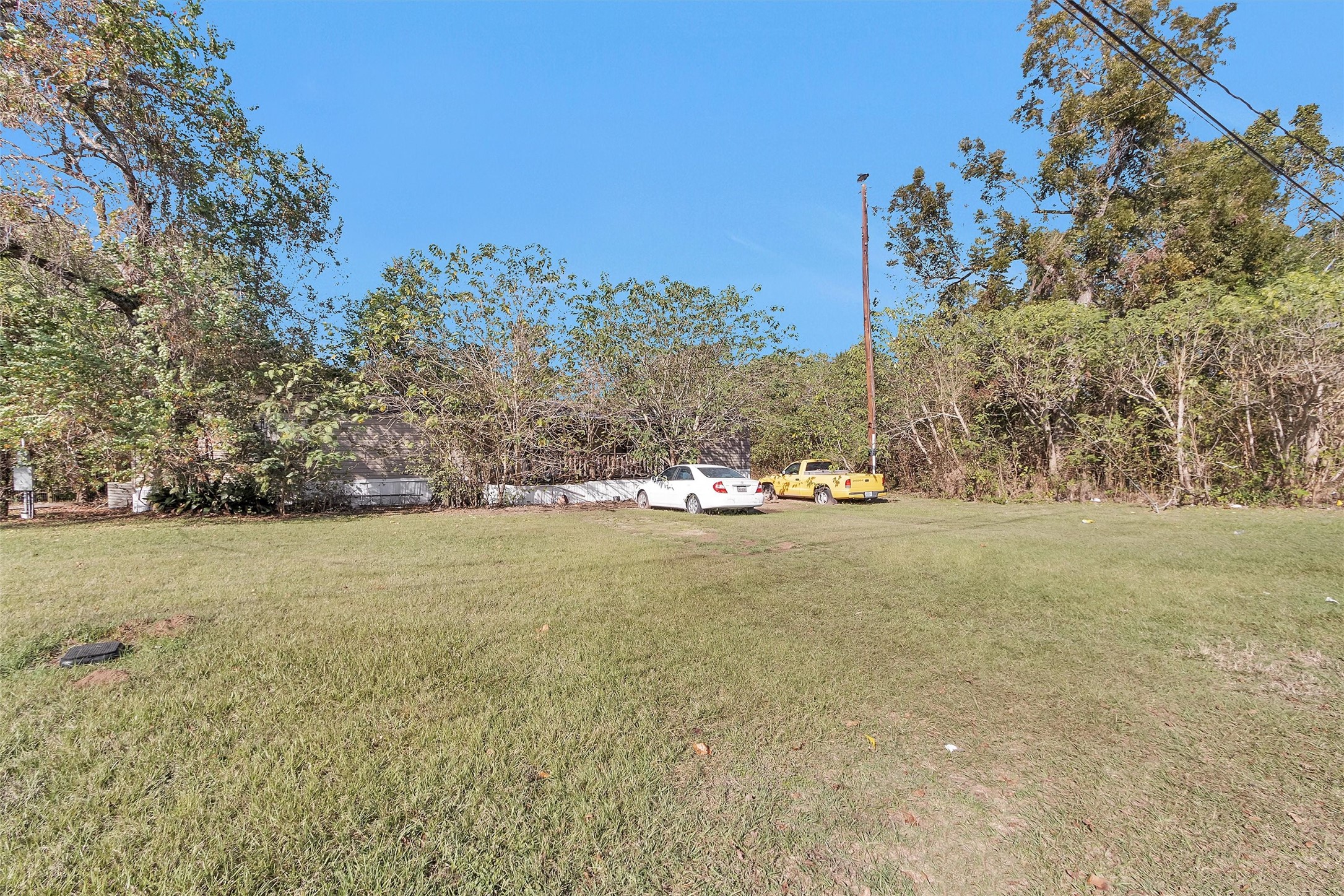 24801 Stanolind Road Tomball, TX 77375 - Photo 4 of 17 a view of large trees with an outdoor space