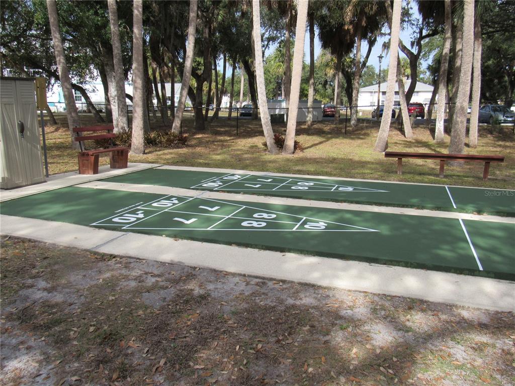 20005 Goldcup Court Port Charlotte, FL 33952 - Photo 29 of 33 a view of a backyard