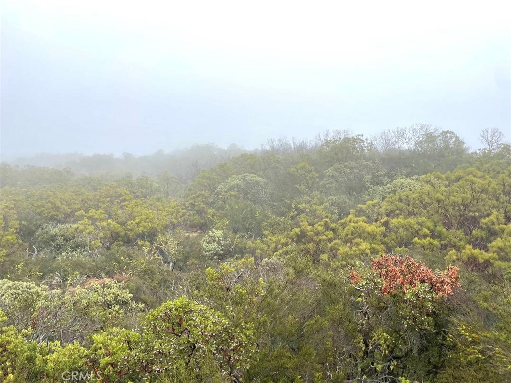 0 Quartz Road Anza, CA 92539 - Photo 11 of 16 a view of a field