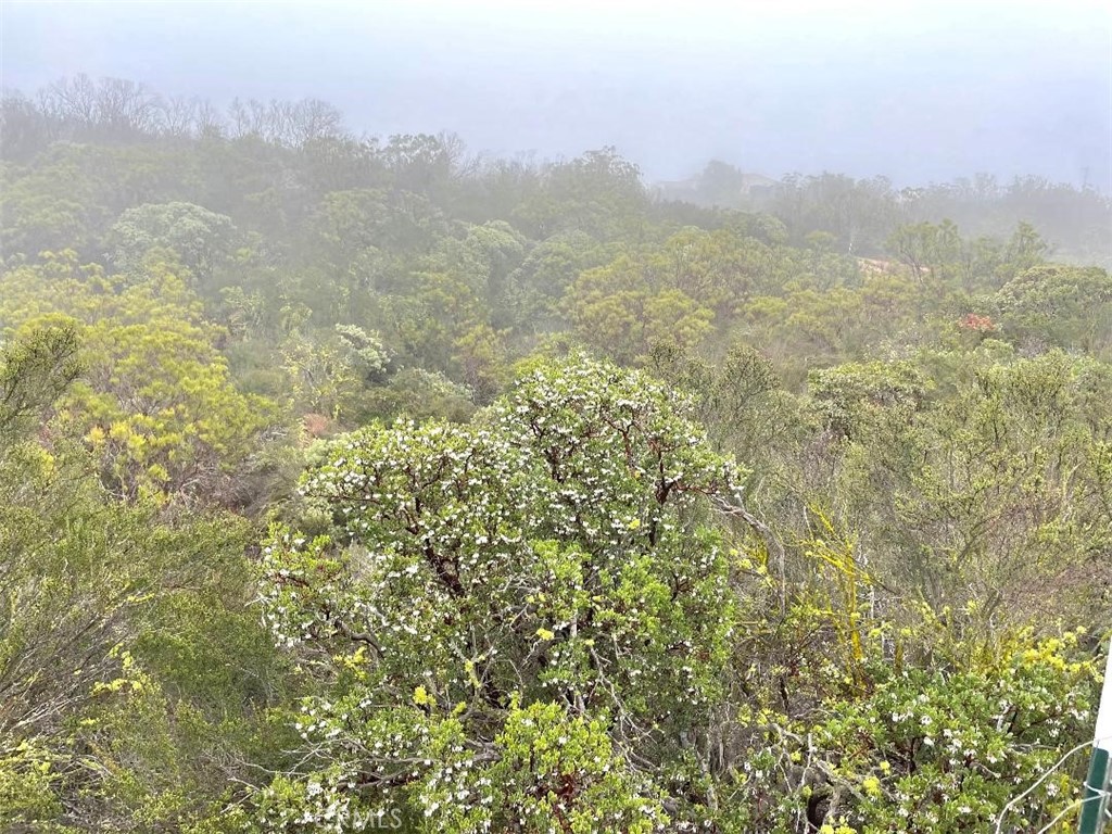 0 Quartz Road Anza, CA 92539 - Photo 12 of 16 a view of a lake with a city