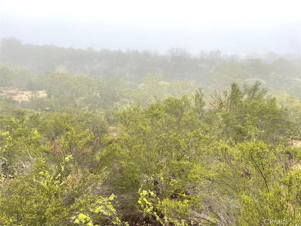 0 Quartz Road Anza, CA 92539 - Photo 13 of 16 a view of an ocean