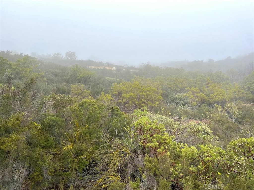 0 Quartz Road Anza, CA 92539 - Photo 14 of 16 a view of a city