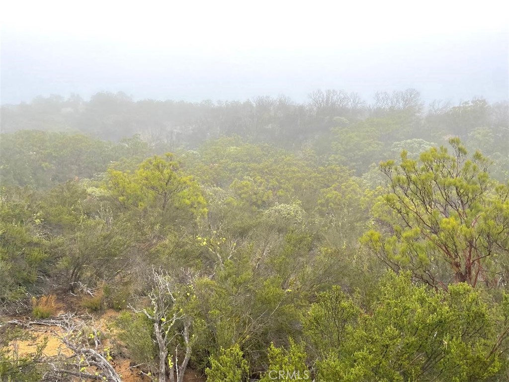 0 Quartz Road Anza, CA 92539 - Photo 15 of 16 a view of a lake with a city