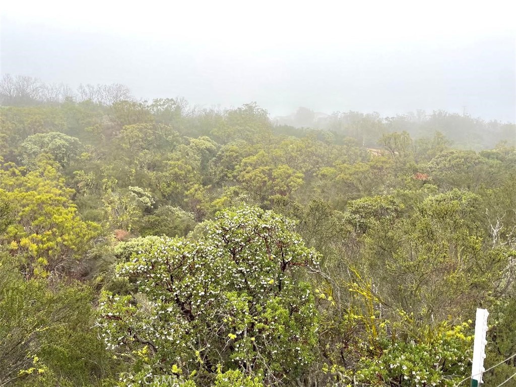 0 Quartz Road Anza, CA 92539 - Photo 16 of 16 a view of a city