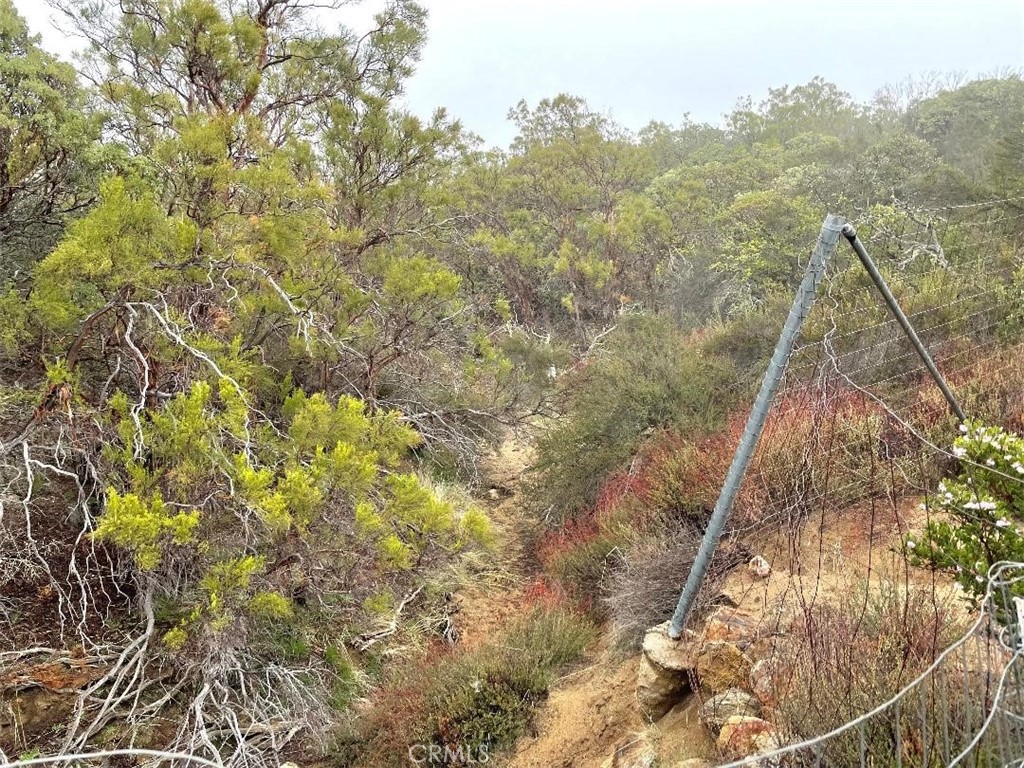 0 Quartz Road Anza, CA 92539 - Photo 7 of 16 a view of a yard