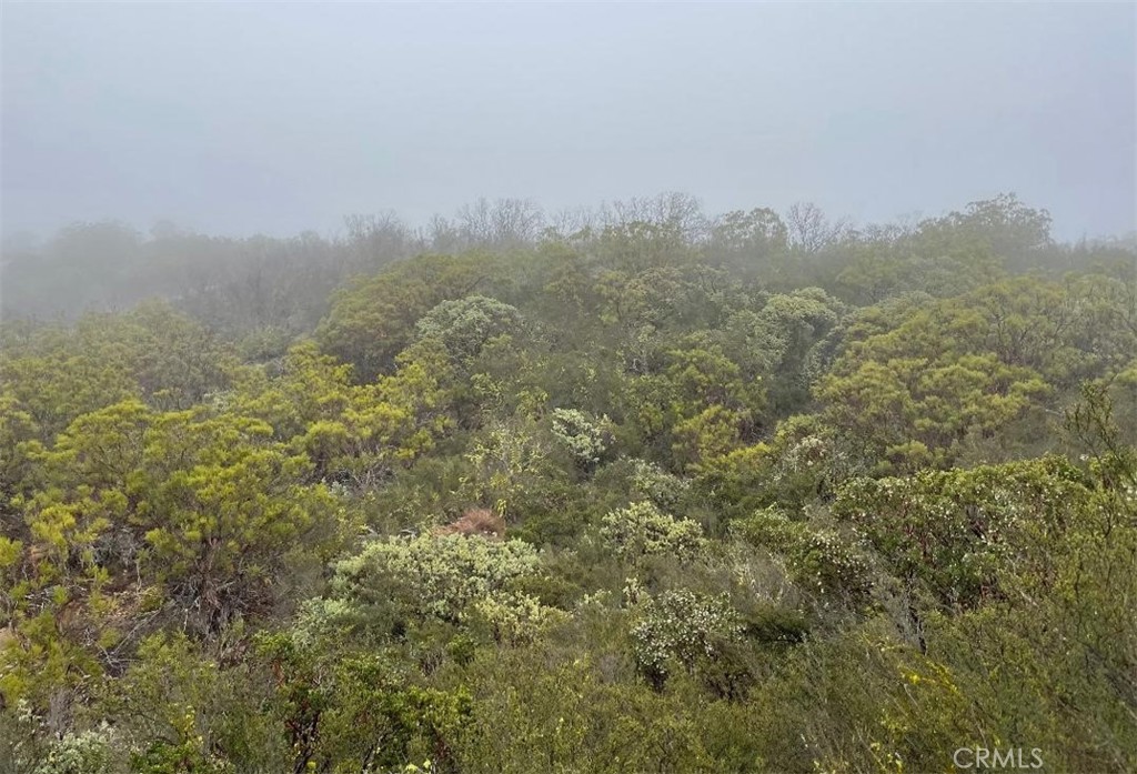 0 Quartz Road Anza, CA 92539 - Photo 8 of 16 a view of a field