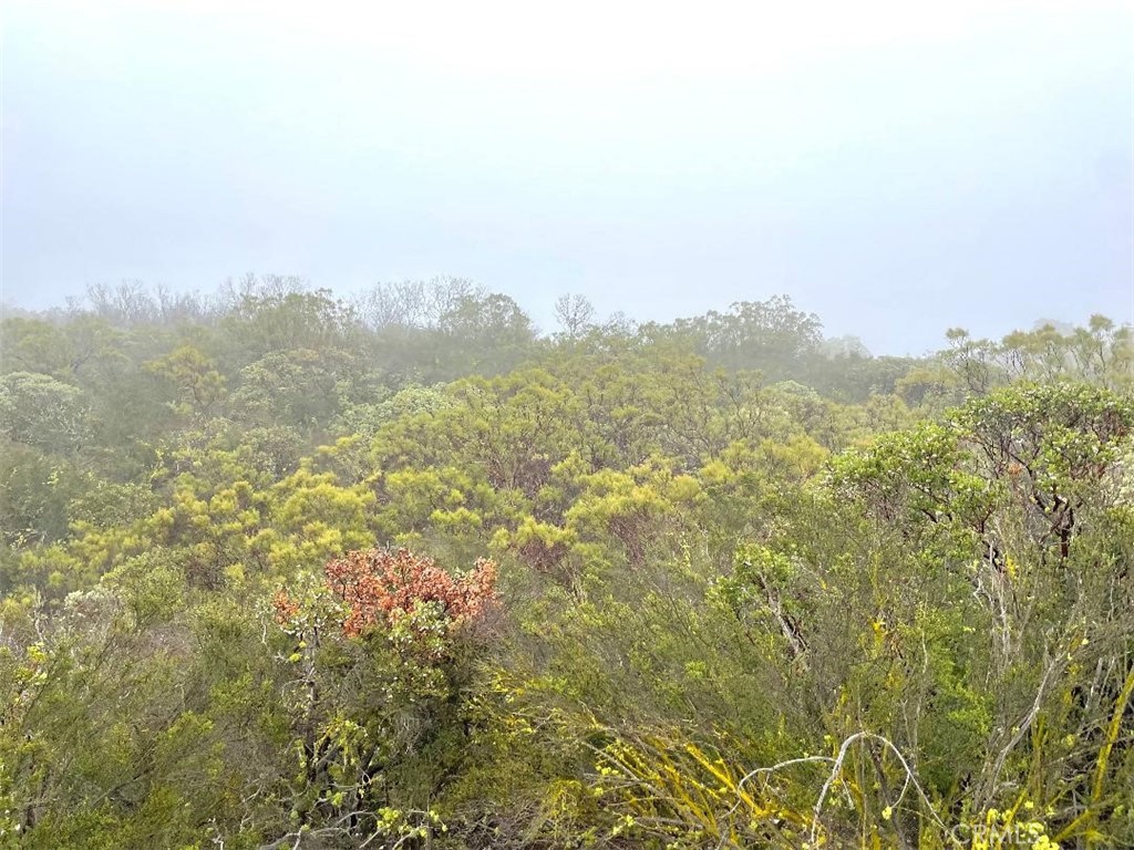 0 Quartz Road Anza, CA 92539 - Photo 9 of 16 a view of a city