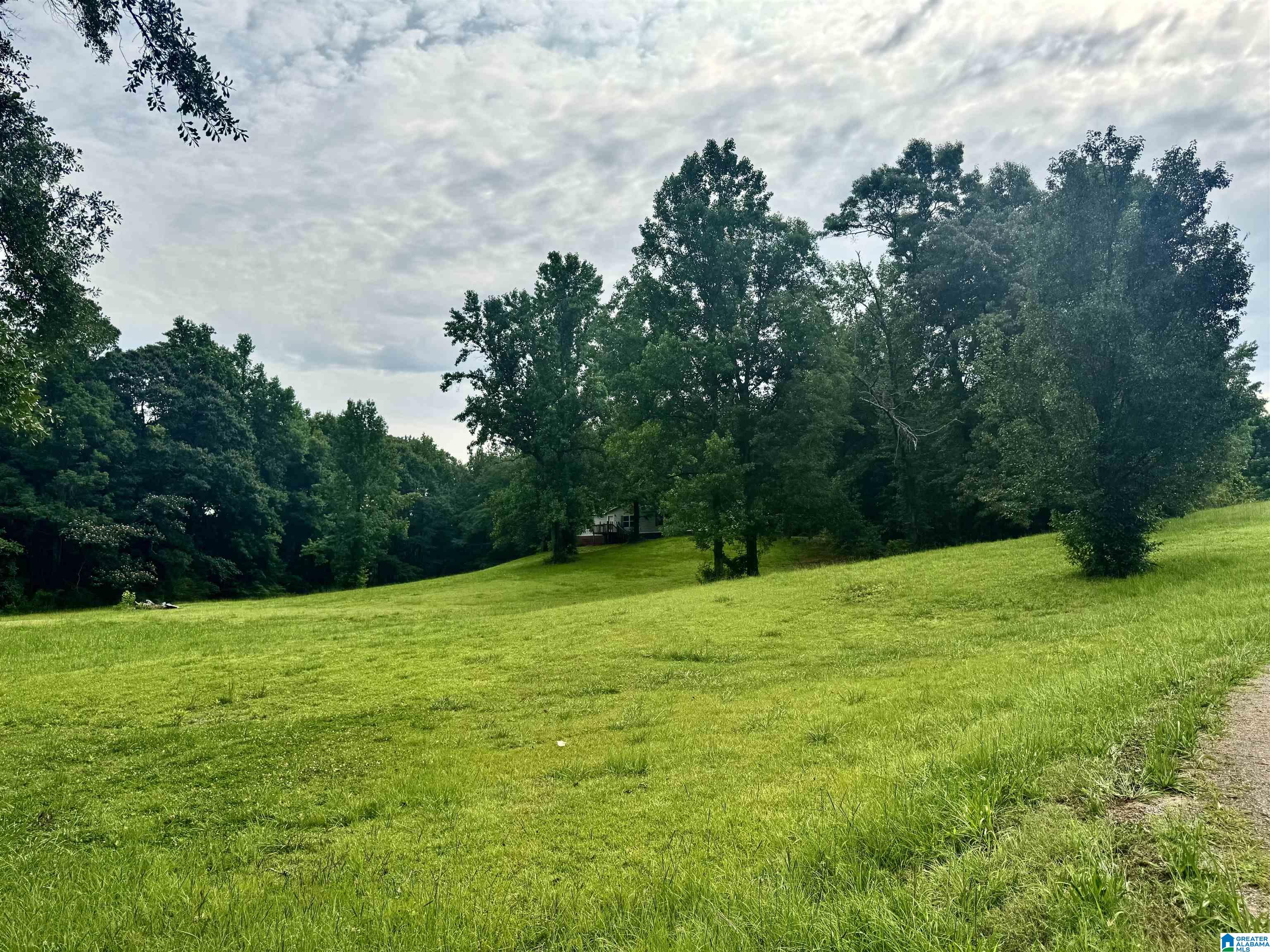 4455 McClendon Chapel Road Bessemer, AL 35022 - Photo 24 of 24