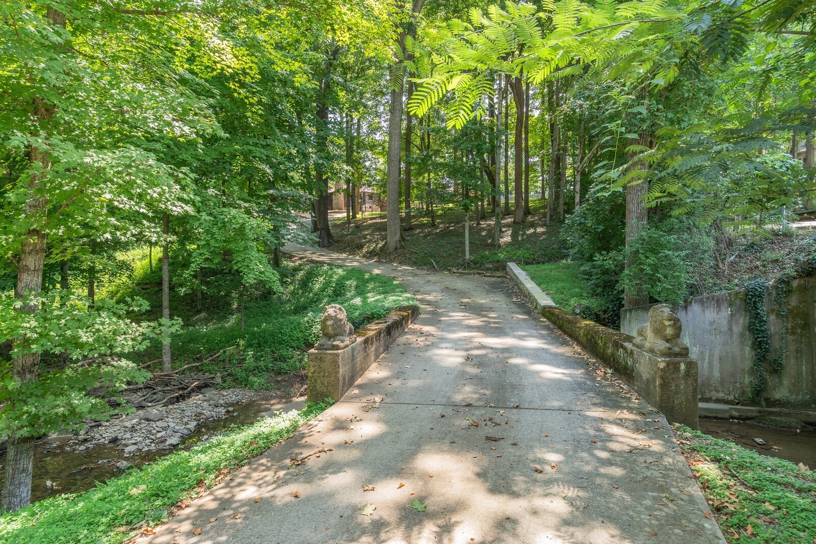a view of backyard with green space