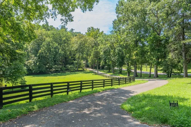 a view of a park with large trees
