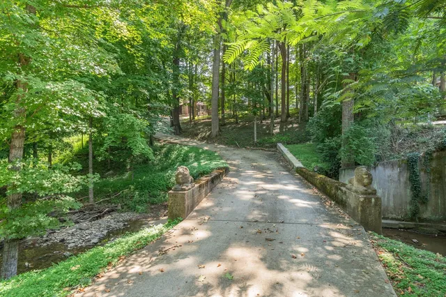 a view of backyard with green space