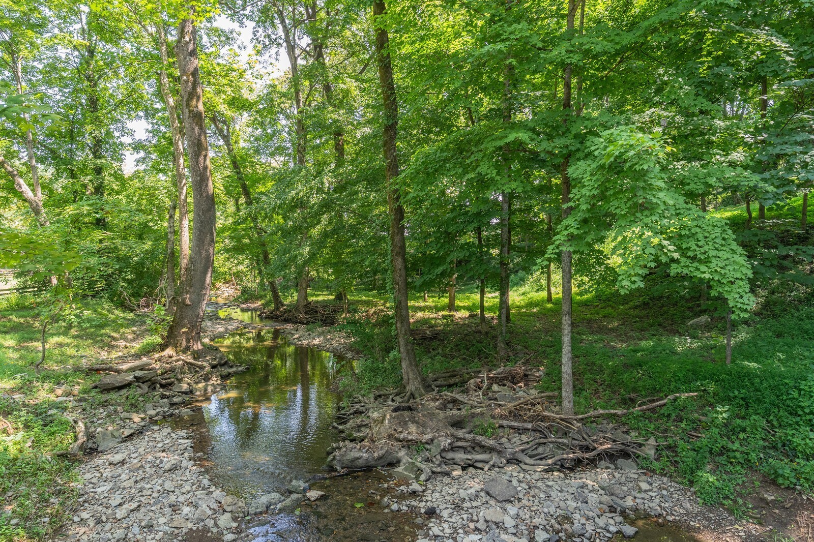 711 Hill Road Brentwood, TN 37027 - Photo 5 of 66