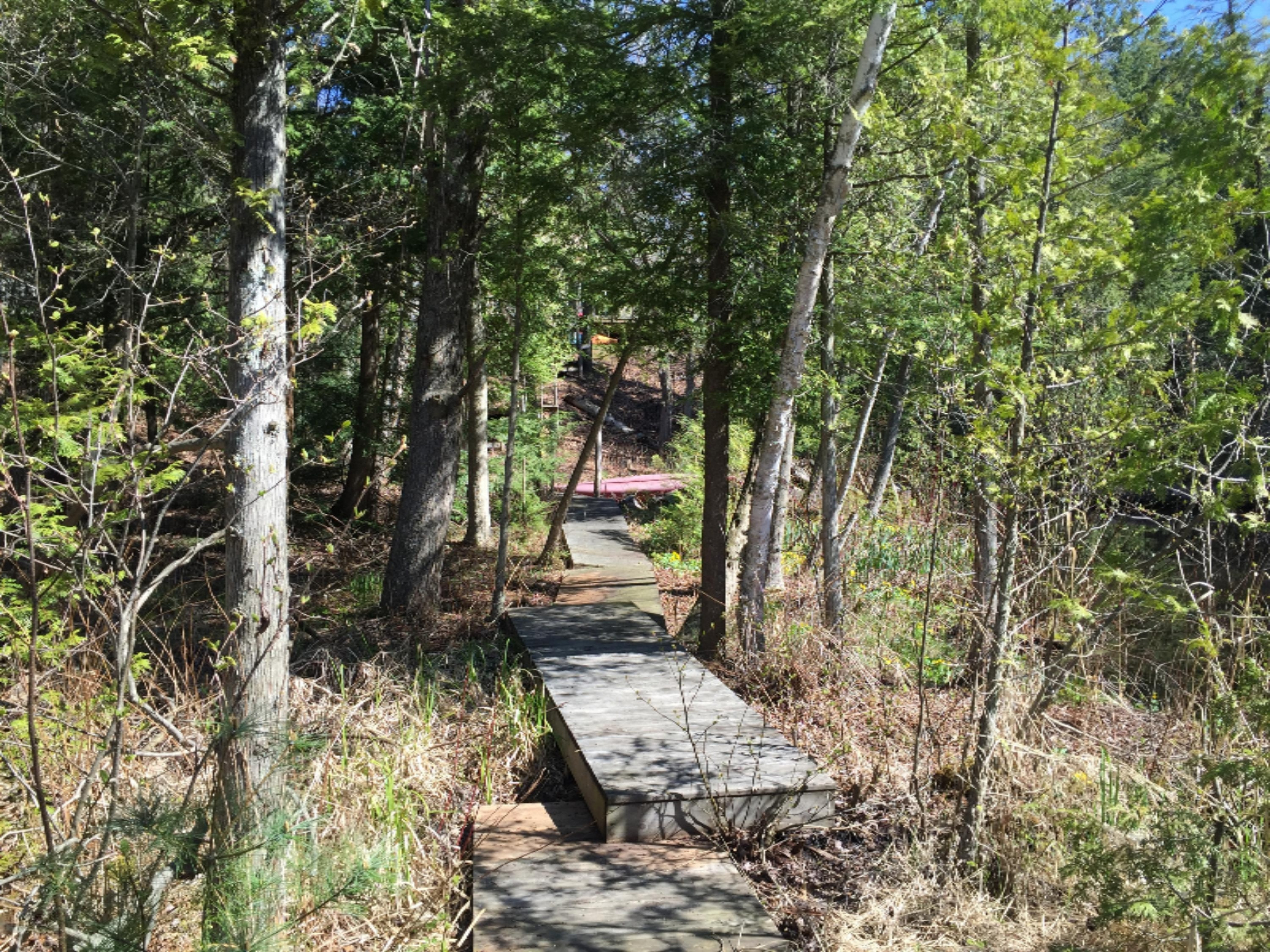 6709 Middleton Road Ludington, MI 49431 - Photo 6 of 43 IMG_2624