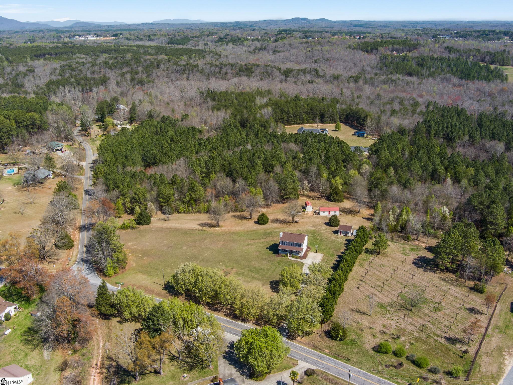 915 South Blackstock Road Landrum, SC 29356 - Photo 33 of 34