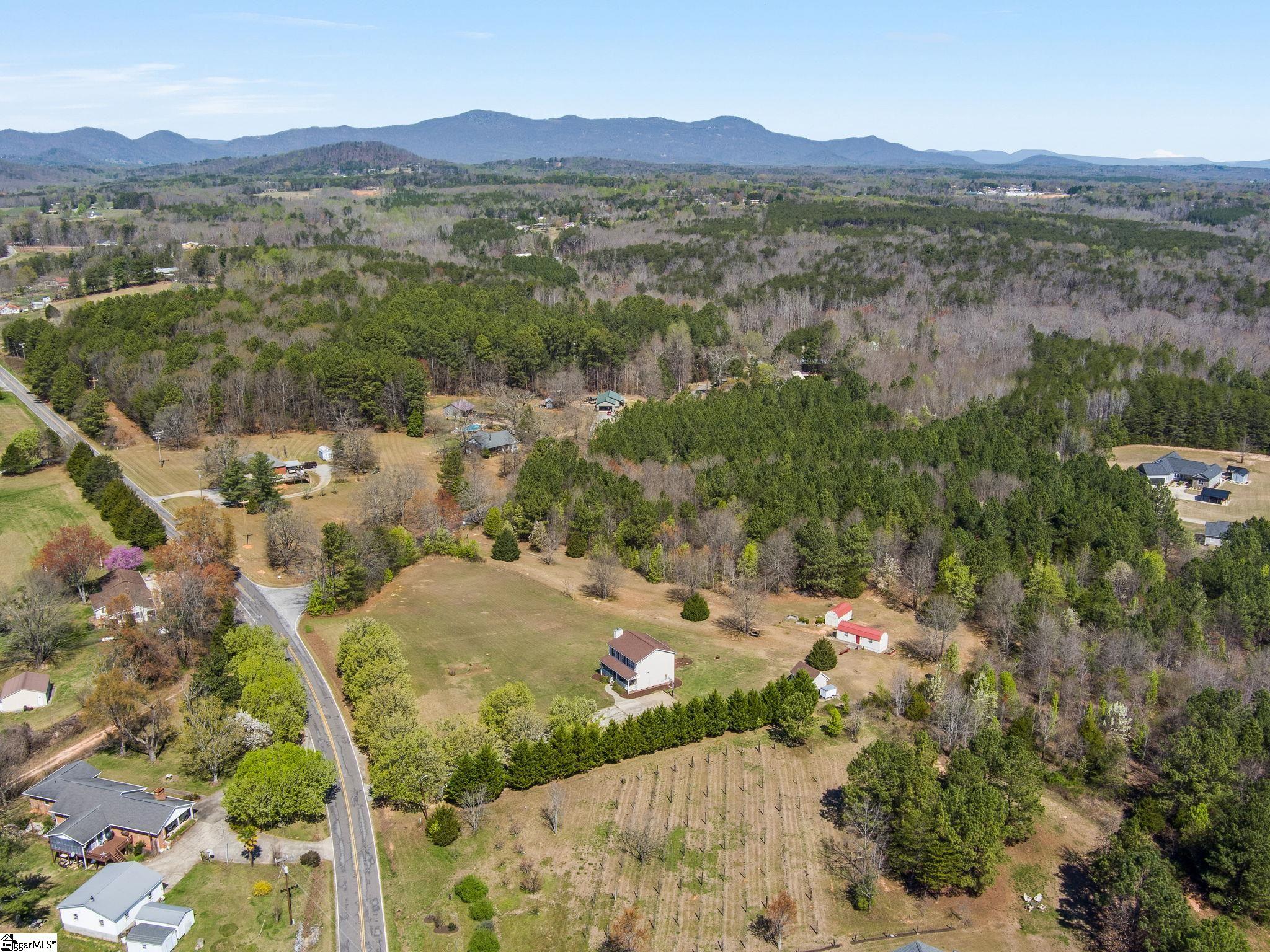 915 South Blackstock Road Landrum, SC 29356 - Photo 34 of 34