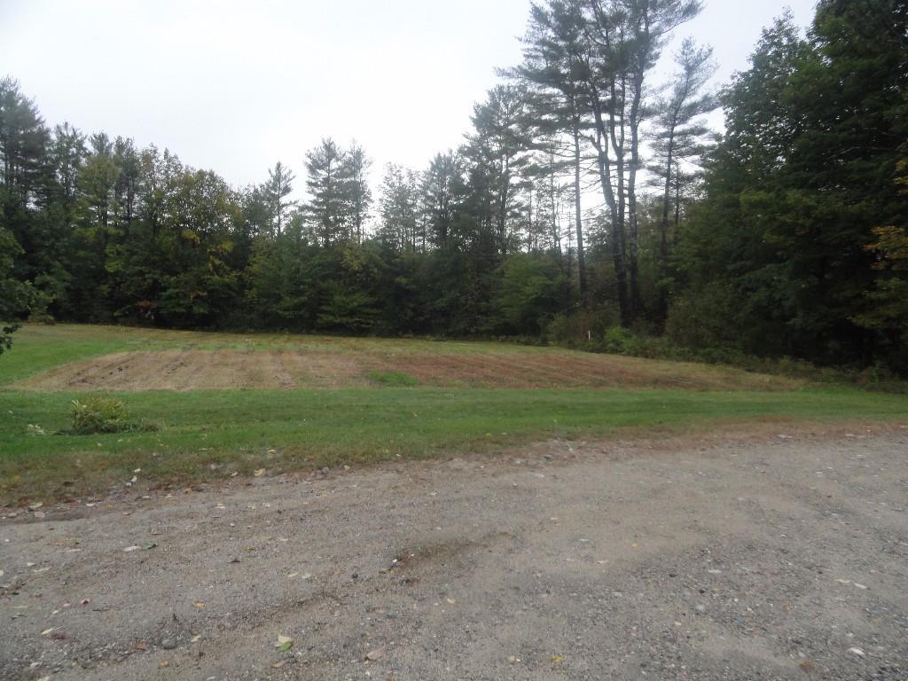 641 Mill Hill Road Waterford, ME 04088 - Photo 9 of 32 Looking west from house into garden area