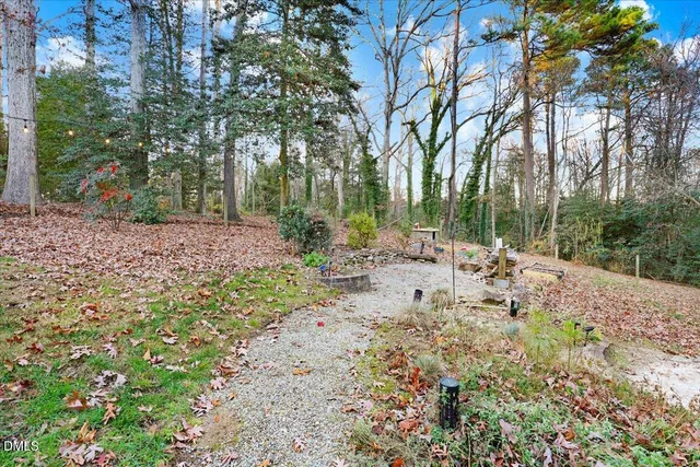 a view of a garden with plants