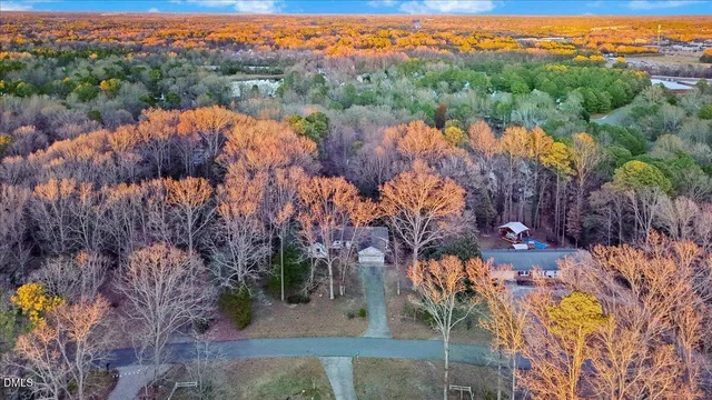 a view of a lake with a mountain in the background
