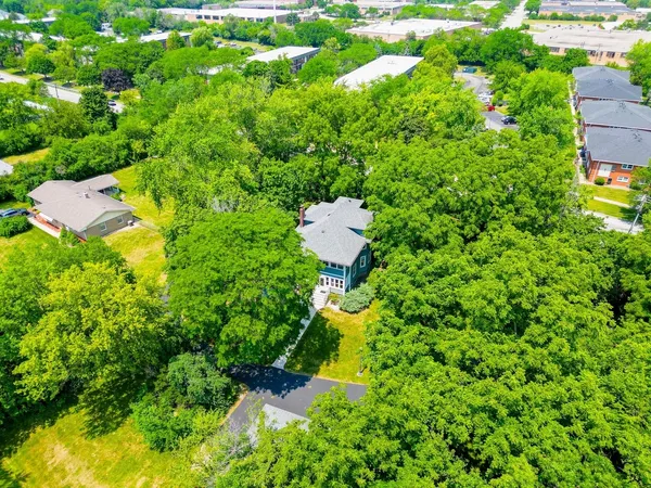 a view of a garden with plants
