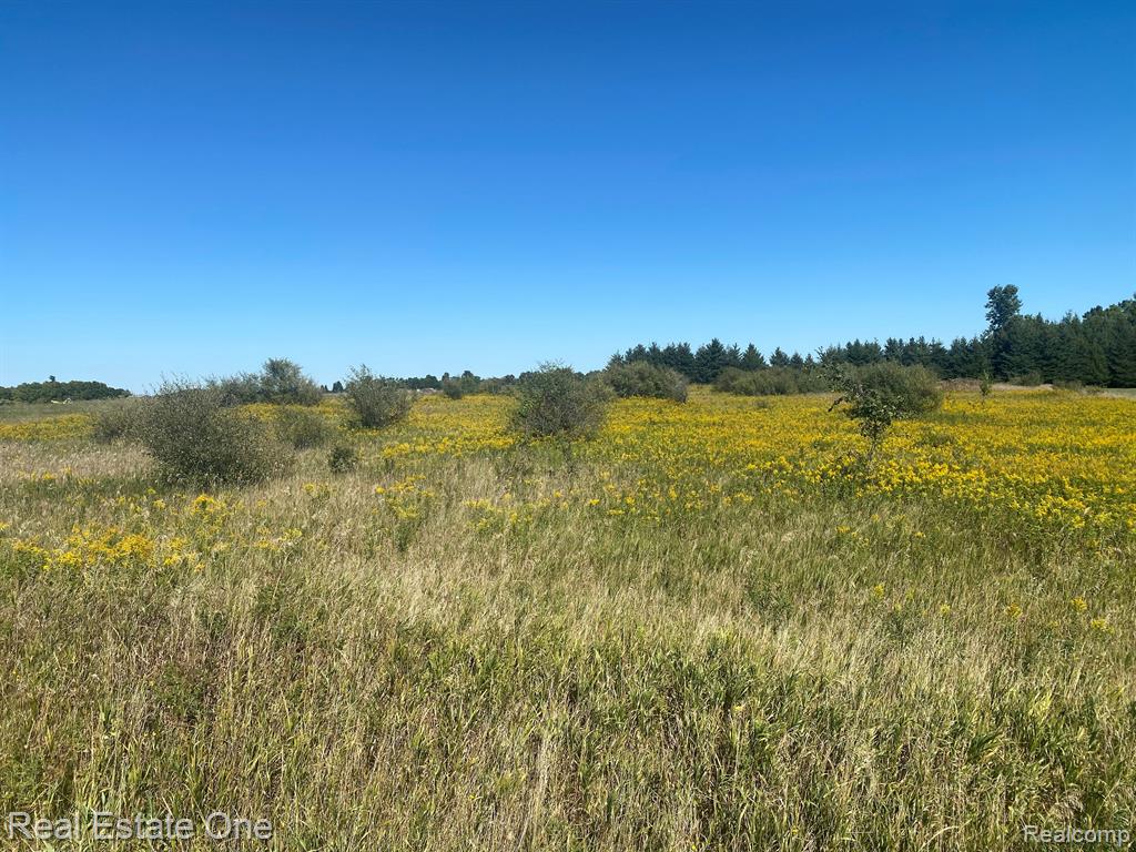0 Lake Pleasant Rd Branch North Branch, MI 48461 - Photo 1 of 6
