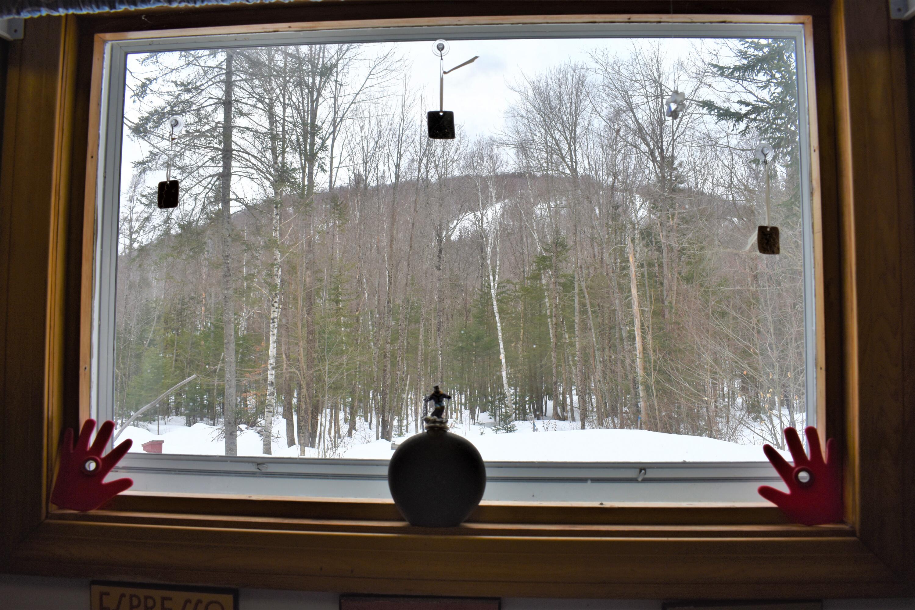 338 Howe Hill Road Greenwood, ME 04255 - Photo 8 of 28 View from Kitchen Window