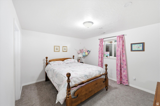 14344 Debrian Way Draper, UT 84020 - Photo 29 of 44