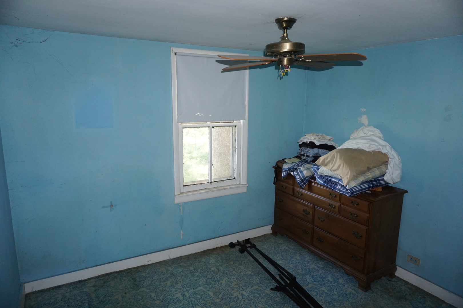 205 South Front Street Danforth, IL 60930 - Photo 3 of 23