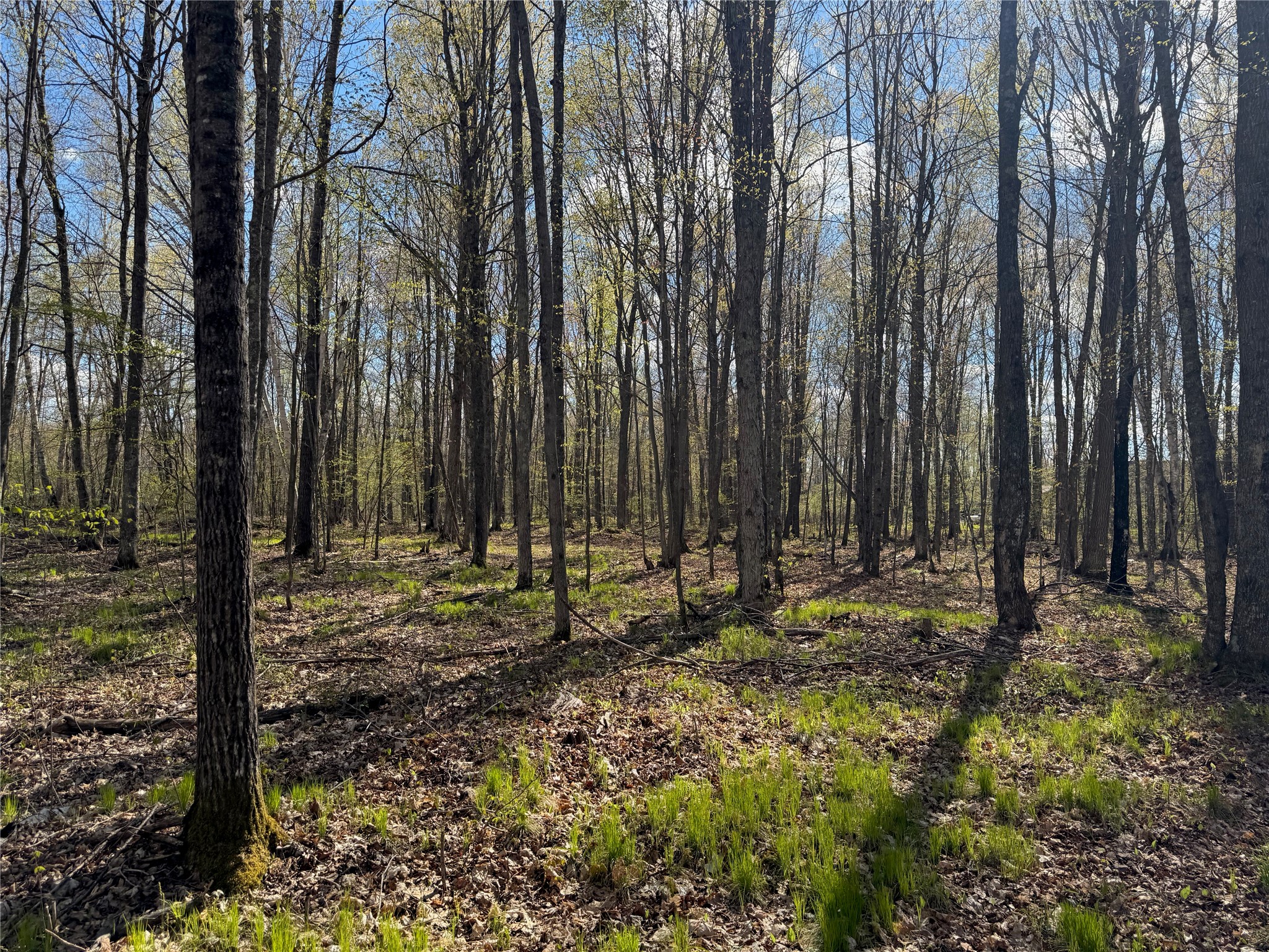 Lot 7 Trapper Trail Hayward, WI 54843 - Photo 25 of 42