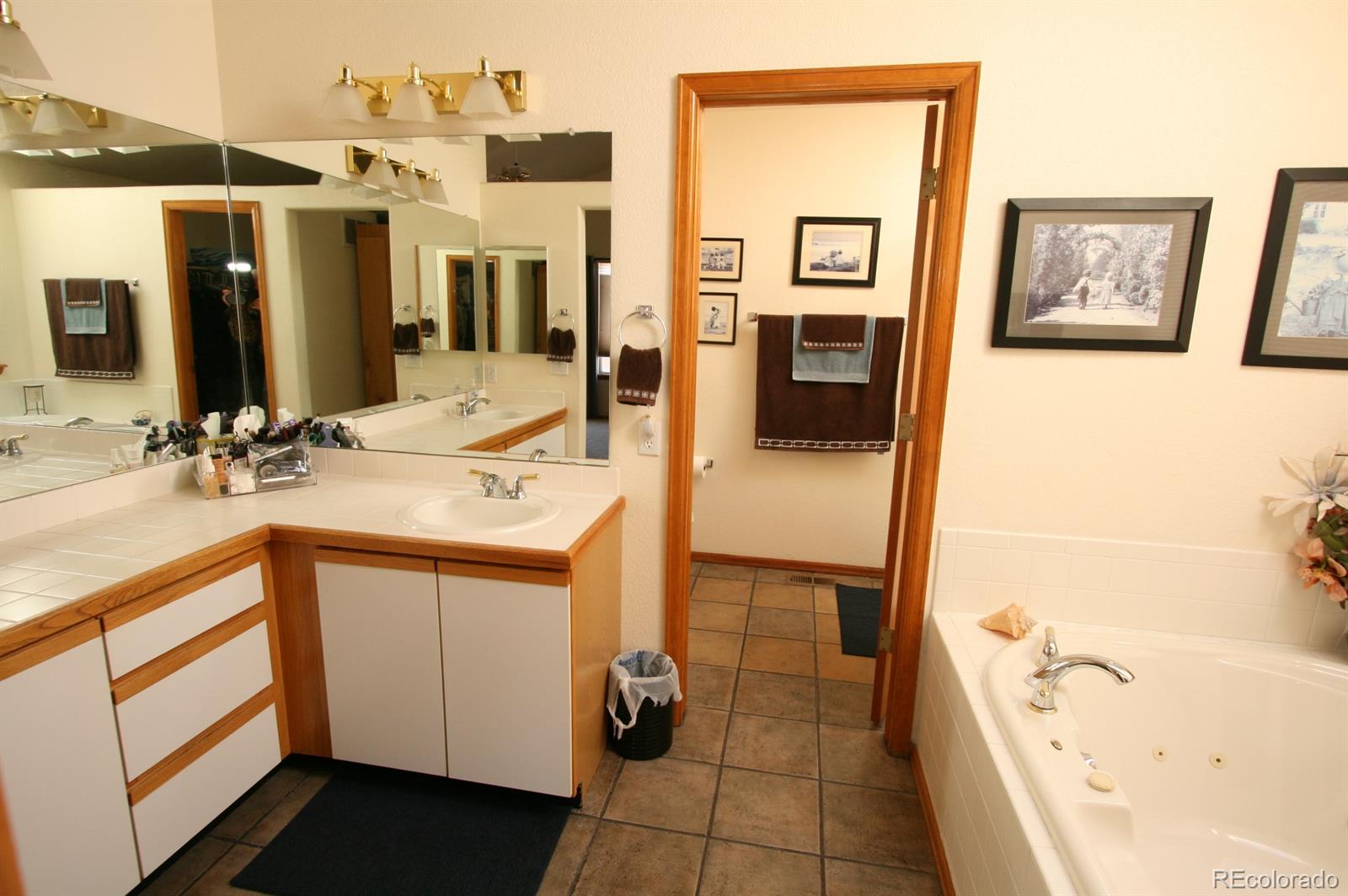 9292 Sand Hill Trail Highlands Ranch, CO 80126 - Photo 19 of 27