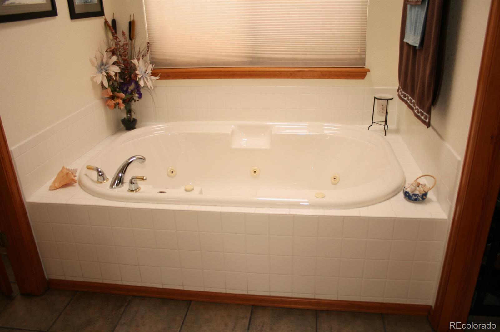 9292 Sand Hill Trail Highlands Ranch, CO 80126 - Photo 20 of 27