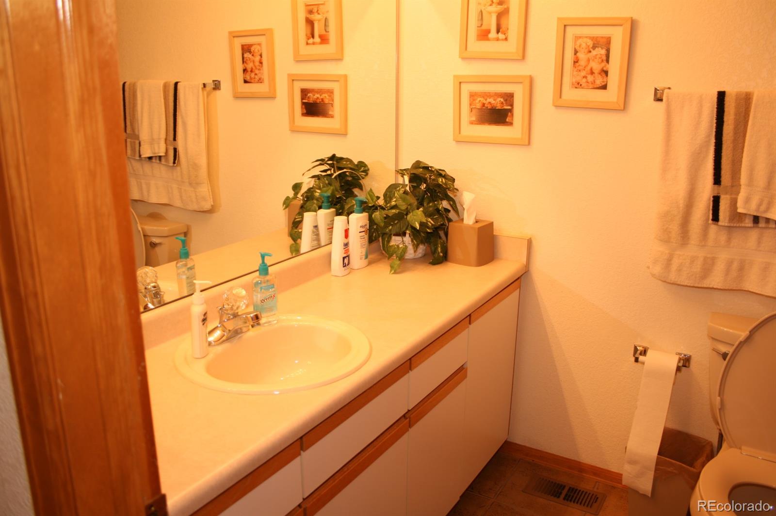 9292 Sand Hill Trail Highlands Ranch, CO 80126 - Photo 25 of 27