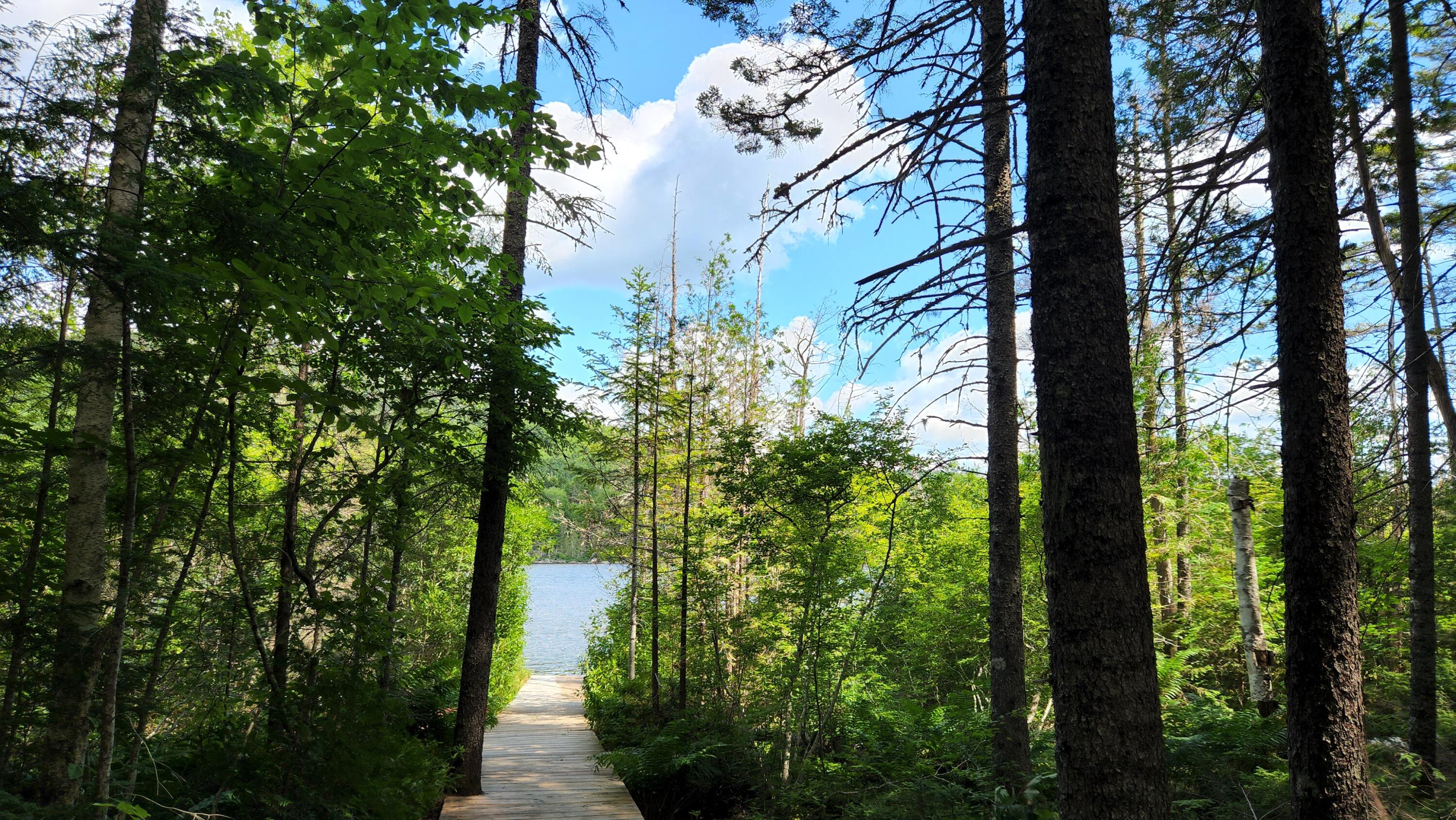 536 Lombard Road Lakeville, ME 04487 - Photo 51 of 57 Lombard7